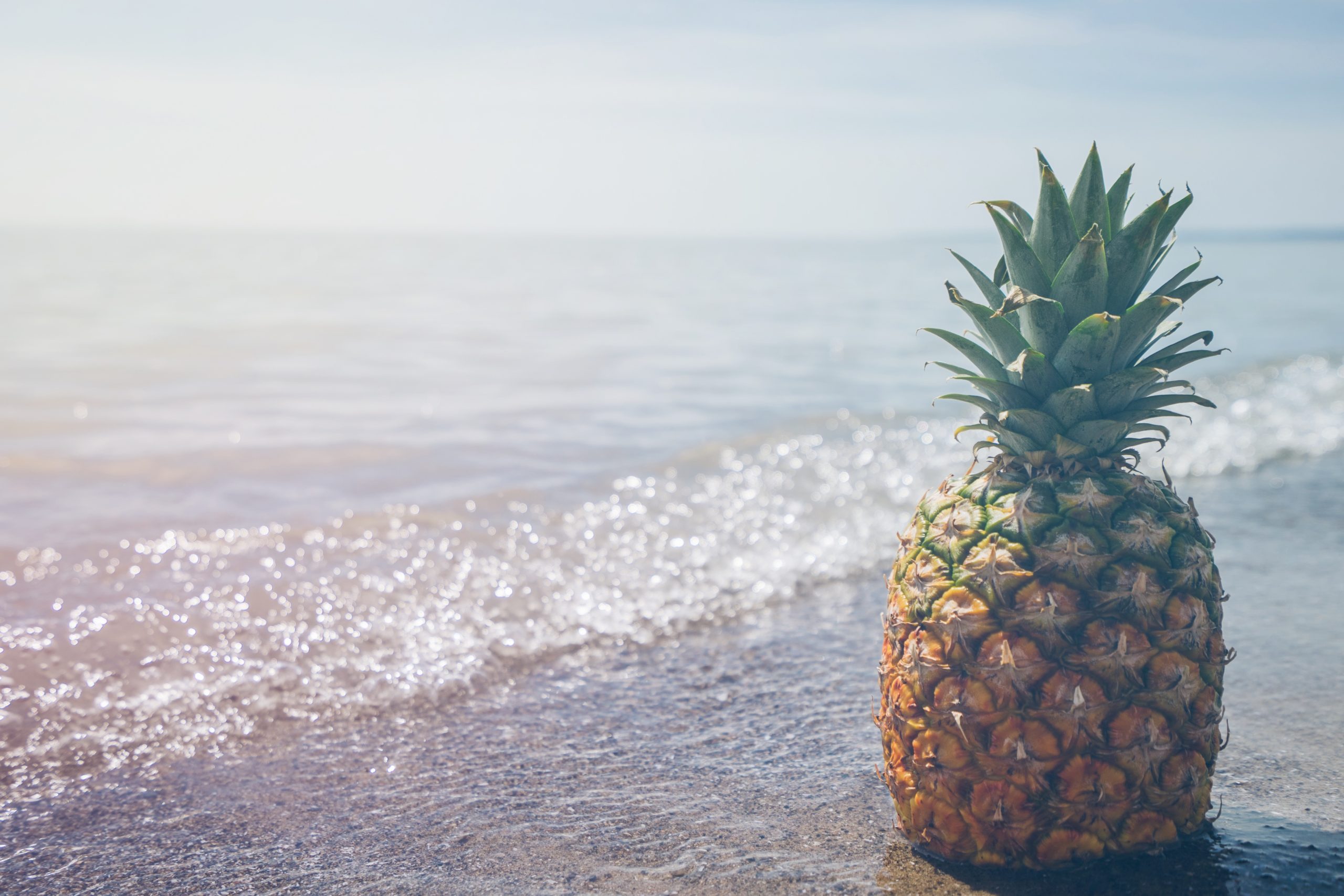 pineapple-supply-co-230315-unsplash